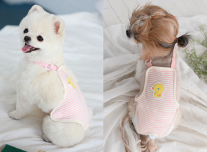 [ITSDOG] 오가닉 삐약이 위생팬티 유기농